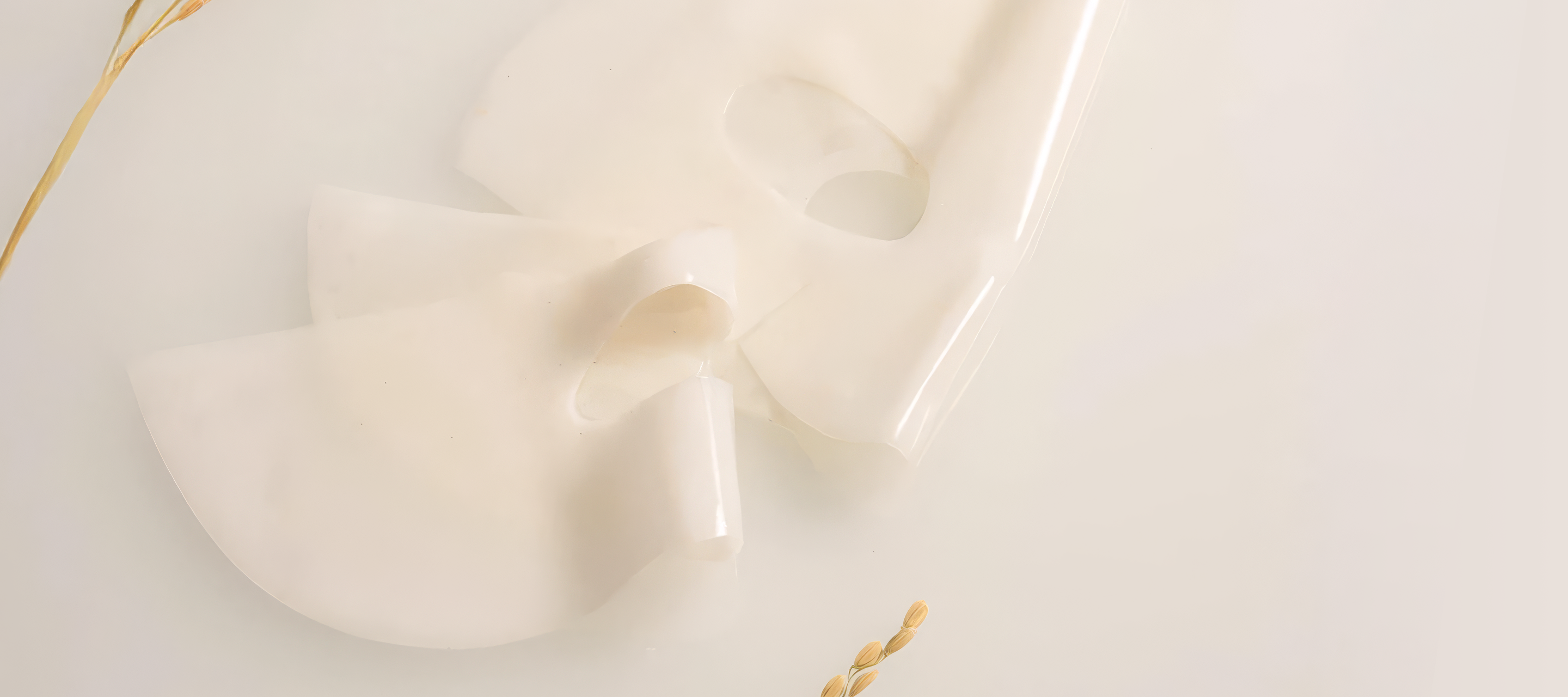 The Coix & Rice Tone-Up Glow Collagen Hydrogel Mask product