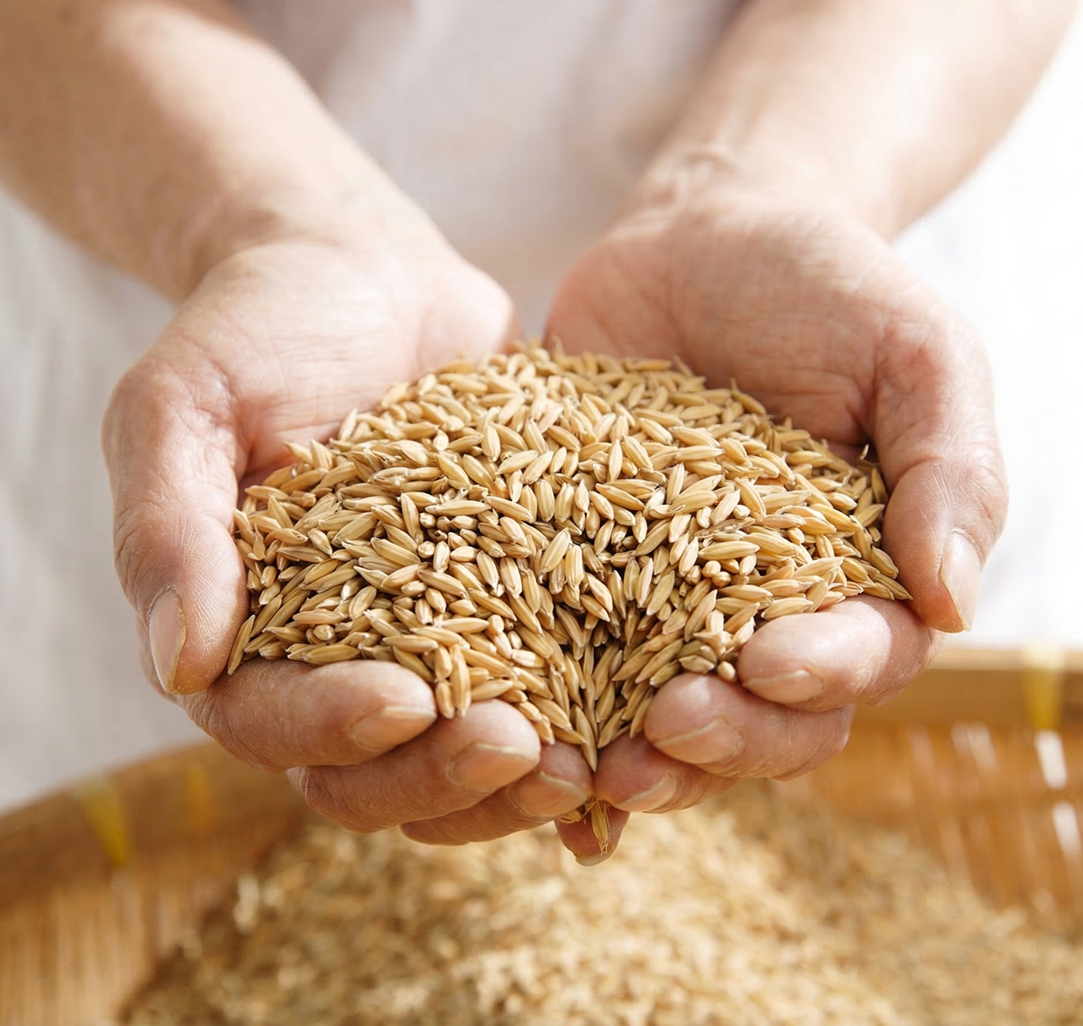 Rice being scooped up with both hands