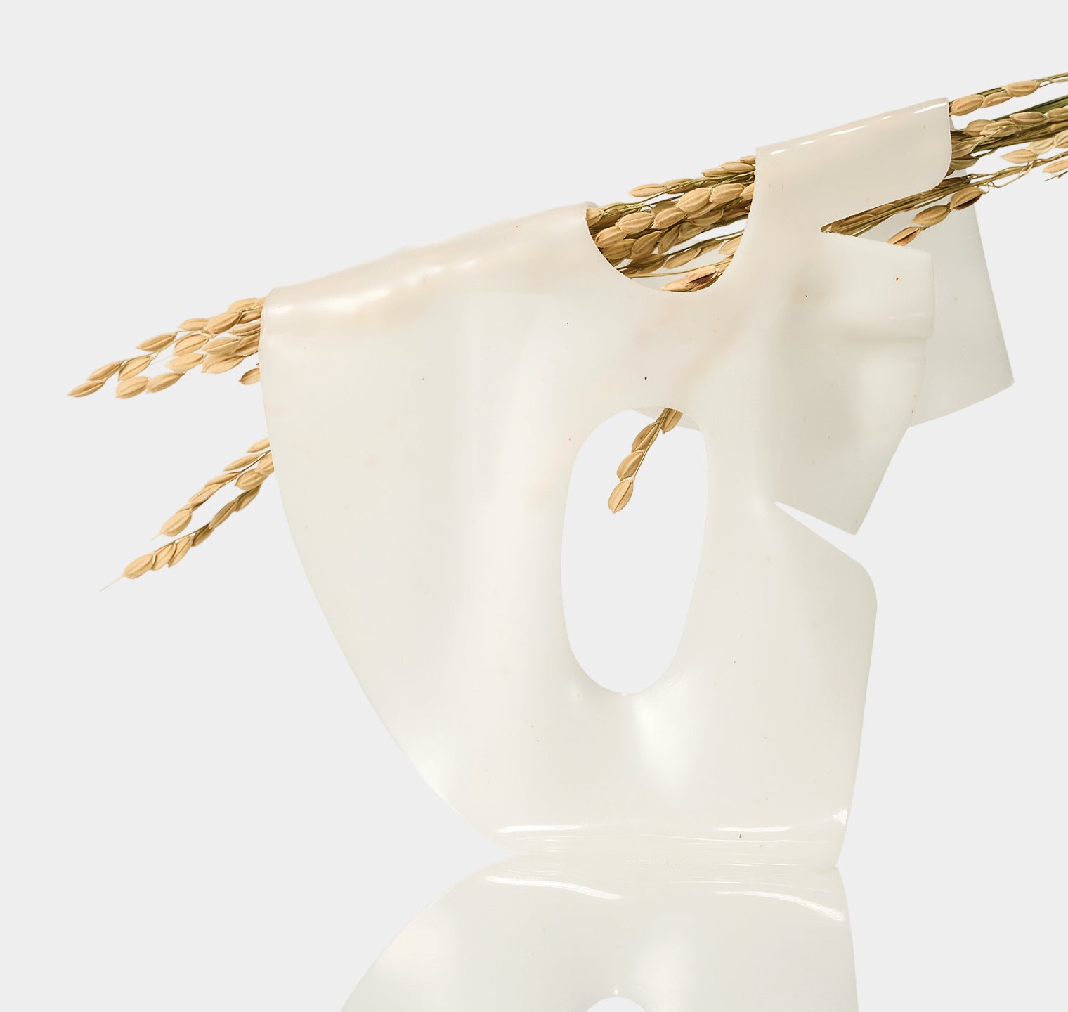 milky white hydrogel sheet mask draped over stalks of dried rice grains